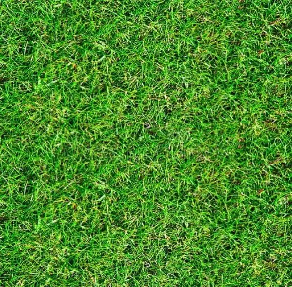 Bringing the Fields back to St Martin’s!